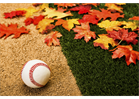 Fall Ball 2025